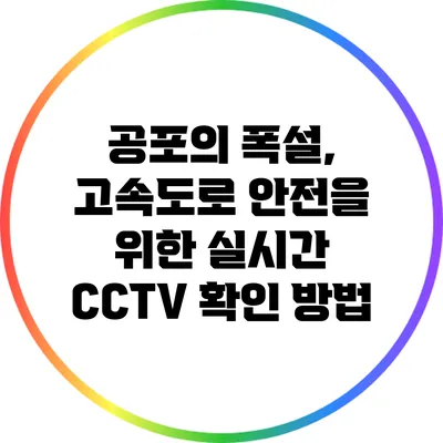 공포의 폭설, 고속도로 안전을 위한 실시간 CCTV 확인 방법