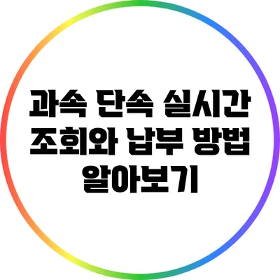 과속 단속 실시간 조회와 납부 방법 알아보기