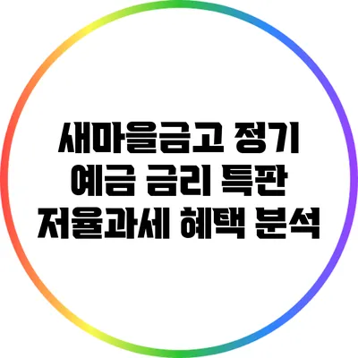 새마을금고 정기 예금 금리 특판: 저율과세 혜택 분석