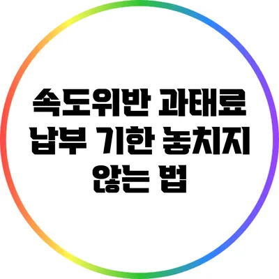 속도위반 과태료 납부 기한 놓치지 않는 법