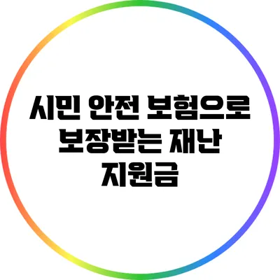 시민 안전 보험으로 보장받는 재난 지원금
