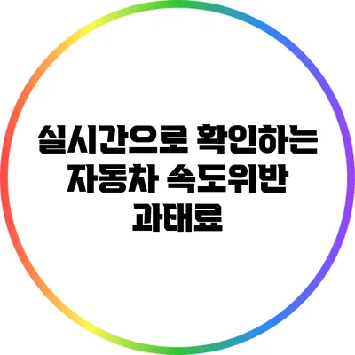 실시간으로 확인하는 자동차 속도위반 과태료