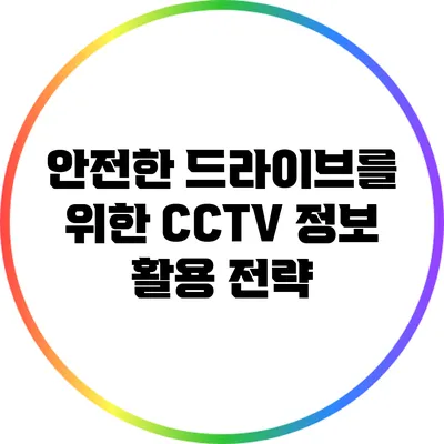 안전한 드라이브를 위한 CCTV 정보 활용 전략