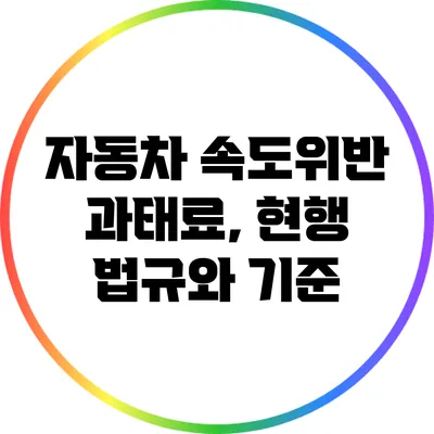 자동차 속도위반 과태료, 현행 법규와 기준