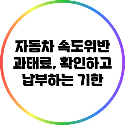 자동차 속도위반 과태료, 확인하고 납부하는 기한