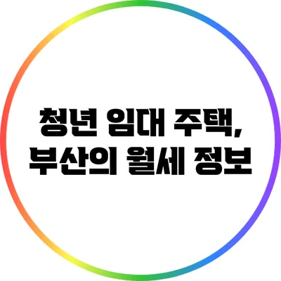 청년 임대 주택, 부산의 월세 정보