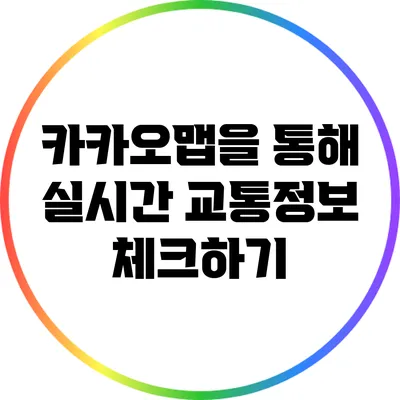 카카오맵을 통해 실시간 교통정보 체크하기