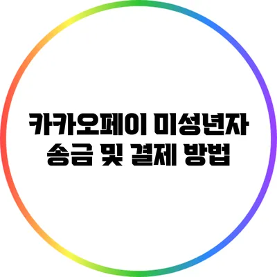 카카오페이 미성년자 송금 및 결제 방법