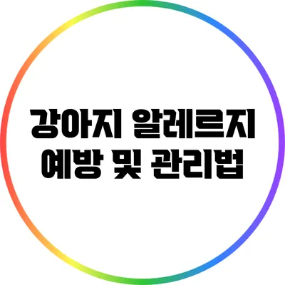 강아지 알레르지 예방 및 관리법