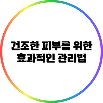 건조한 피부를 위한 효과적인 관리법