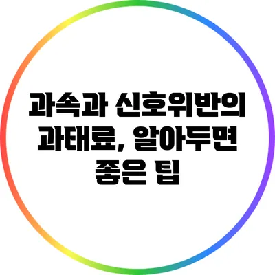 과속과 신호위반의 과태료, 알아두면 좋은 팁