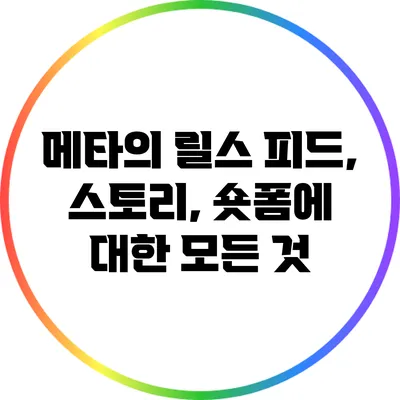 메타의 릴스: 피드, 스토리, 숏폼에 대한 모든 것