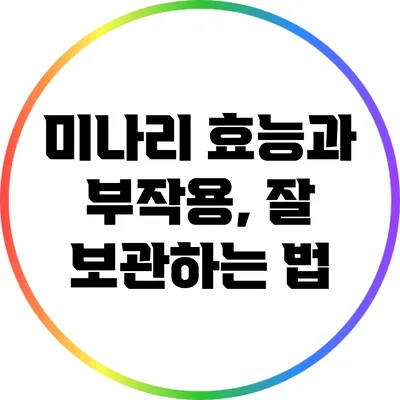 미나리 효능과 부작용, 잘 보관하는 법