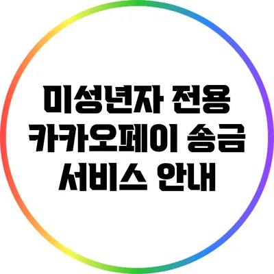 미성년자 전용 카카오페이 송금 서비스 안내