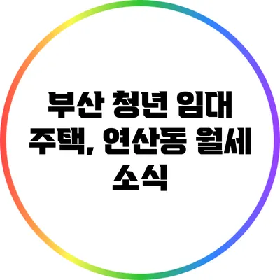 부산 청년 임대 주택, 연산동 월세 소식