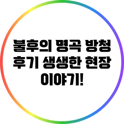 불후의 명곡 방청 후기: 생생한 현장 이야기!