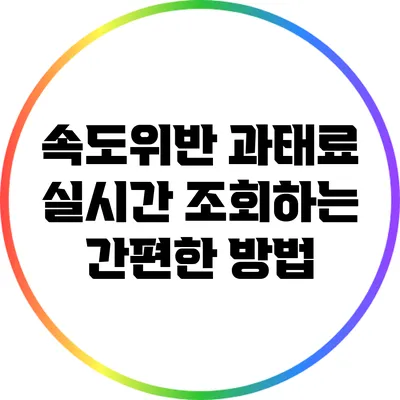 속도위반 과태료 실시간 조회하는 간편한 방법