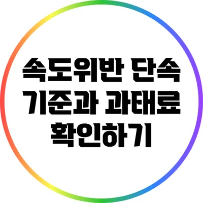 속도위반 단속 기준과 과태료 확인하기