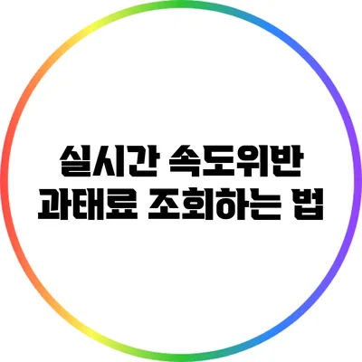 실시간 속도위반 과태료 조회하는 법