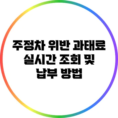주정차 위반 과태료 실시간 조회 및 납부 방법