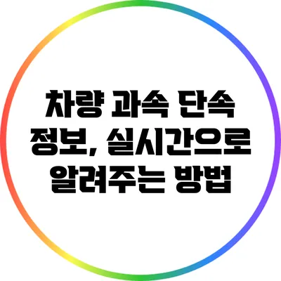 차량 과속 단속 정보, 실시간으로 알려주는 방법