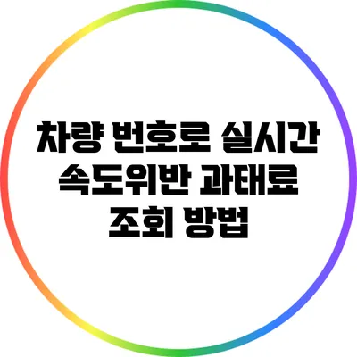 차량 번호로 실시간 속도위반 과태료 조회 방법