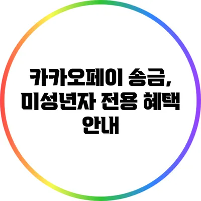 카카오페이 송금, 미성년자 전용 혜택 안내