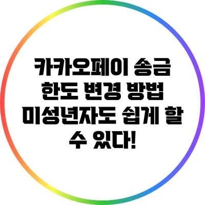 카카오페이 송금 한도 변경 방법: 미성년자도 쉽게 할 수 있다!