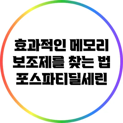 효과적인 메모리 보조제를 찾는 법: 포스파티딜세린