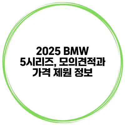 2025 BMW 5시리즈, 모의견적과 가격 제원 정보