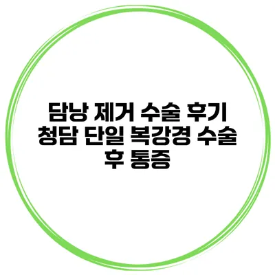 담낭 제거 수술 후기 청담 단일 복강경 수술 후 통증