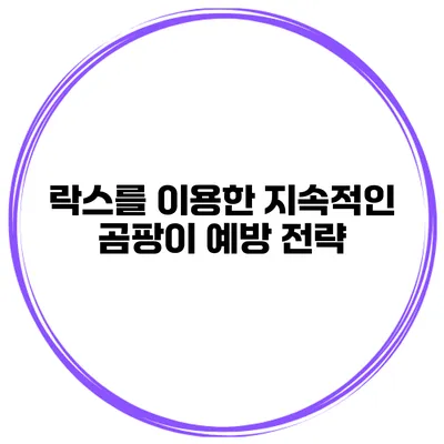 락스를 이용한 지속적인 곰팡이 예방 전략