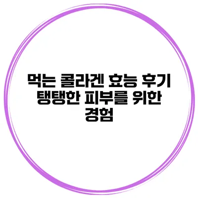 먹는 콜라겐 효능 후기 탱탱한 피부를 위한 경험