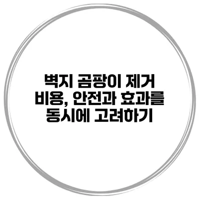 벽지 곰팡이 제거 비용, 안전과 효과를 동시에 고려하기