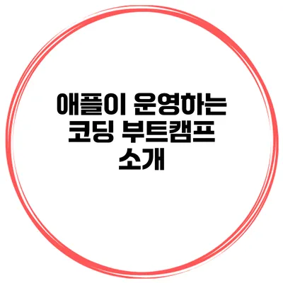 애플이 운영하는 코딩 부트캠프 소개