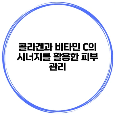 콜라겐과 비타민 C의 시너지를 활용한 피부 관리