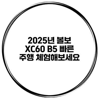 2025년 볼보 XC60 B5 빠른 주행 체험해보세요
