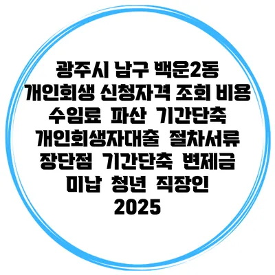 광주시 남구 백운2동 개인회생 신청자격 조회 비용 수임료 | 파산 | 기간단축 | 개인회생자대출 | 절차서류 | 장단점 | 기간단축 | 변제금 미납 | 청년 | 직장인 2025
