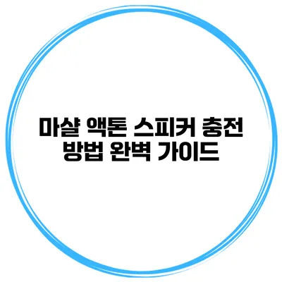 마샬 액톤 스피커 충전 방법 완벽 가이드