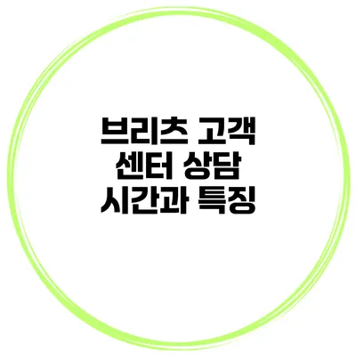 브리츠 고객 센터 상담 시간과 특징