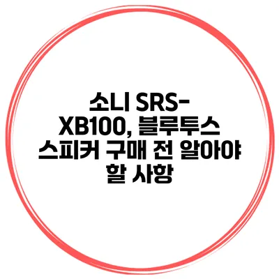 소니 SRS-XB100, 블루투스 스피커 구매 전 알아야 할 사항