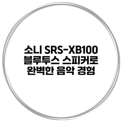 소니 SRS-XB100 블루투스 스피커로 완벽한 음악 경험