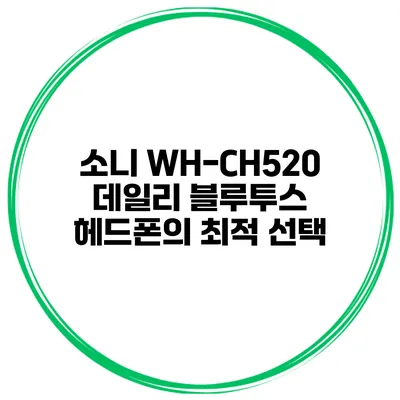 소니 WH-CH520 데일리 블루투스 헤드폰의 최적 선택