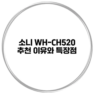 소니 WH-CH520 추천 이유와 특장점
