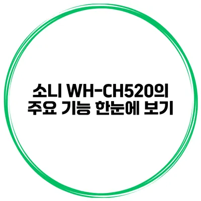 소니 WH-CH520의 주요 기능 한눈에 보기