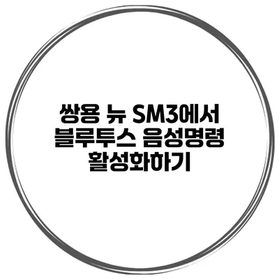 쌍용 뉴 SM3에서 블루투스 음성명령 활성화하기